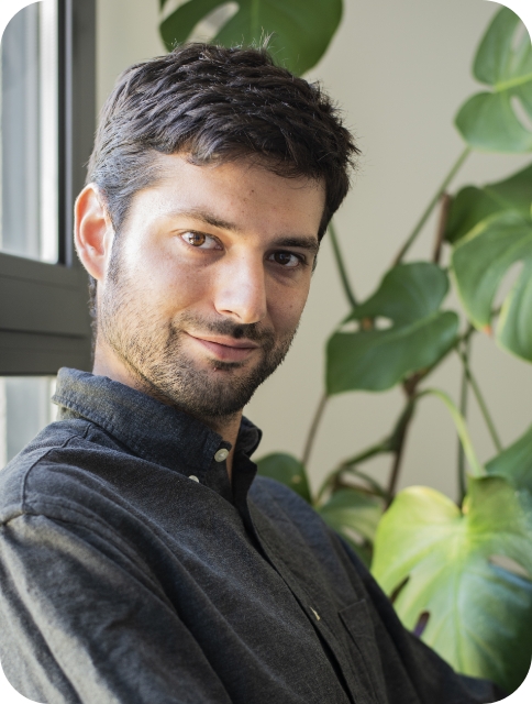 You are currently viewing Tom