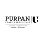 Logo Purpan - Client de l'agence Big Happy